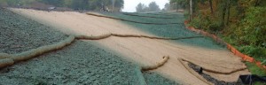 erosion control blankets