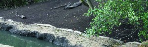 erosion and sediment control ecoblanket