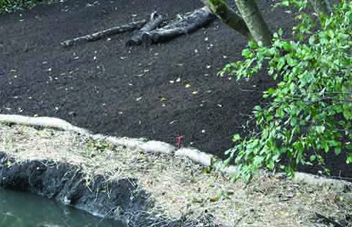 erosion and sediment control ecoblanket