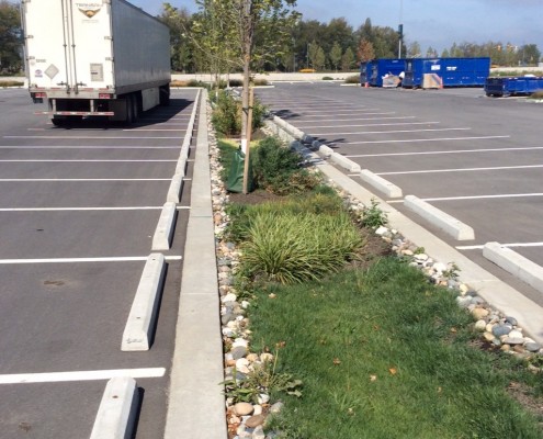 greenery planted in parking lot 1