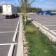 greenery planted in parking lot 1