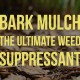 Bark Mulch the ultimate weed suppressant