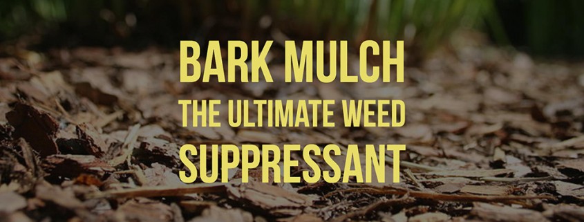 Bark Mulch the ultimate weed suppressant