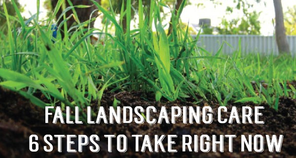 six-steps-for-landscape-care-1