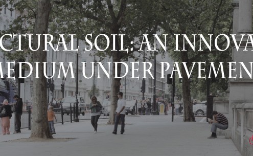 structural-soil-under-pavement-feature photo