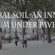 structural-soil-under-pavement-feature photo