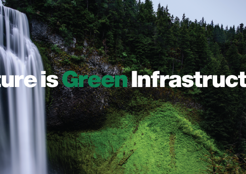 nature is green infrastructure