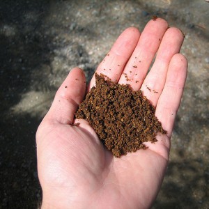 Iron_rich_soil_in_hand