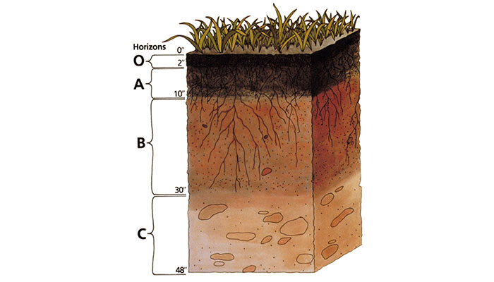 Soil_profile