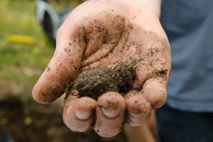 dirt-ball-in-hand