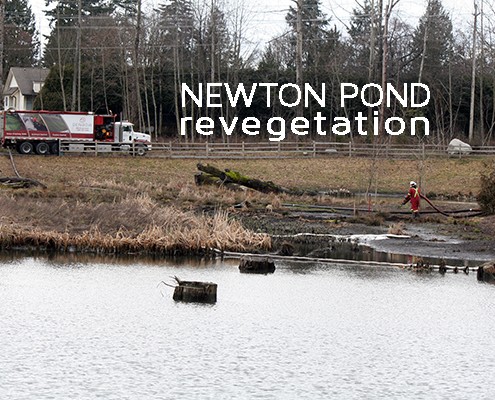 city of surrey newton pond cleanup