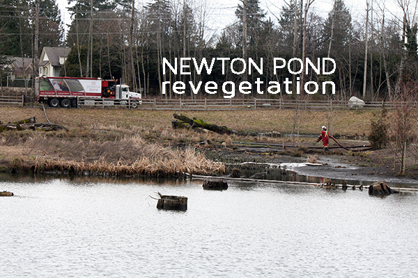 city of surrey newton pond cleanup