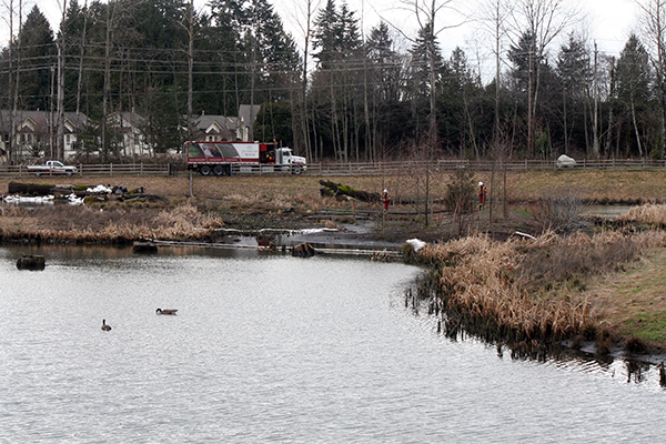 newton pond revegetation