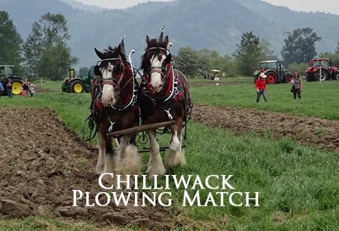 chilliwack plowing match