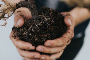 Should you buy engineered soil?