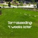 terraseeding