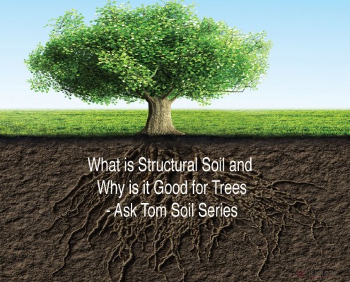 What-is-Structural-Soil-and-Why-is-it-Good-for-Trees