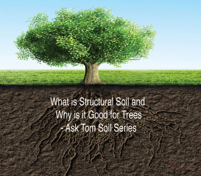 WhatisStructuralSoilandWhyisitGoodforTrees Denbow