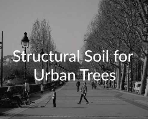 Structural-Soil-for-Urban-Trees
