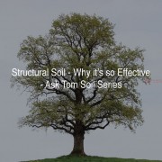 why structural soil is so good for trees