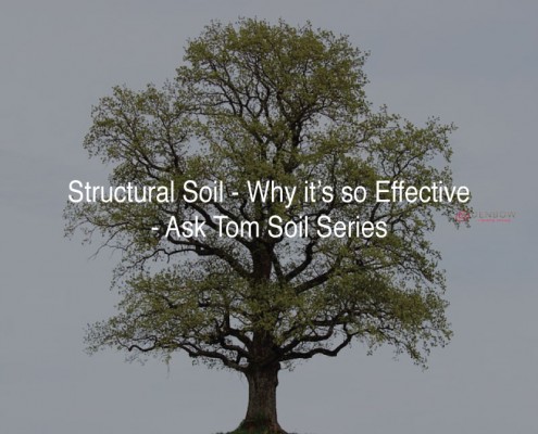 why structural soil is so good for trees