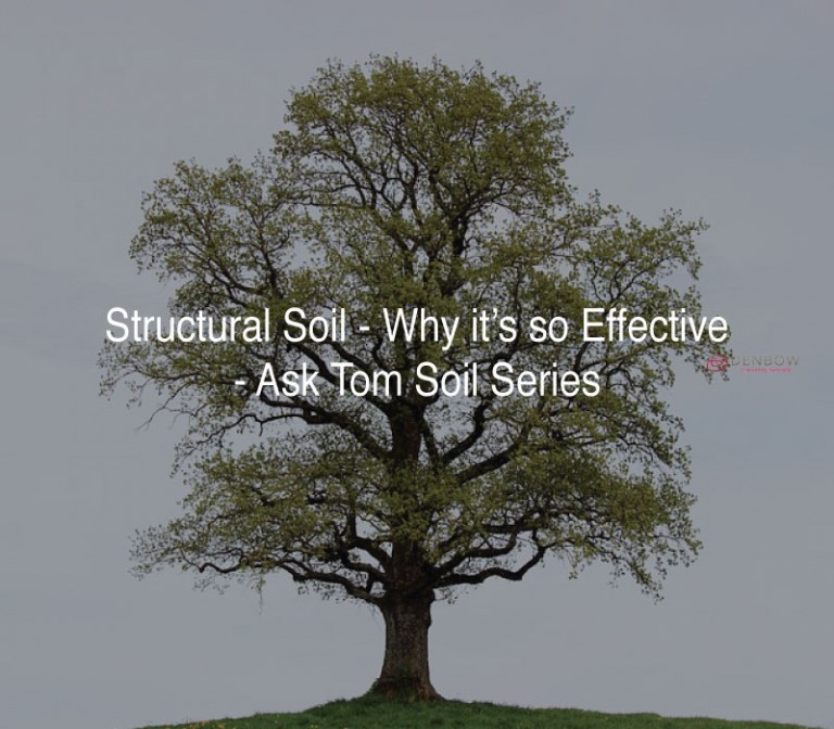 whystructuralsoilissogoodfortrees Denbow