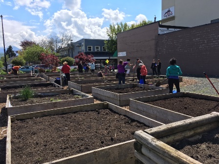 chilliwack communit garden denbow soil