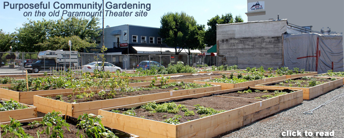 chilliwack communit garden denbow soil