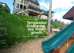 ecoblanket summer seeding